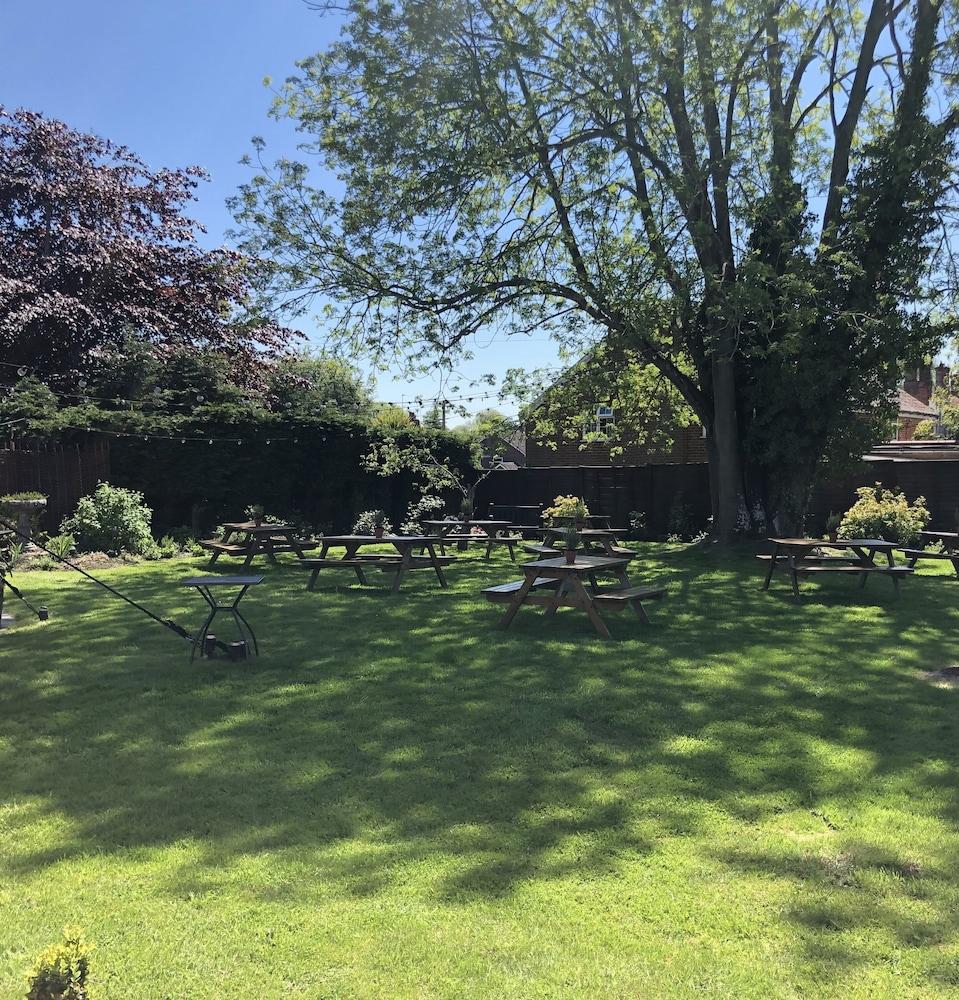 The Honingham Buck Bed & Breakfast Exterior photo
